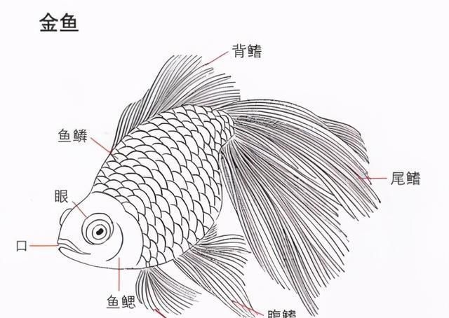 新闻搜索_新浪搜索_新浪网
