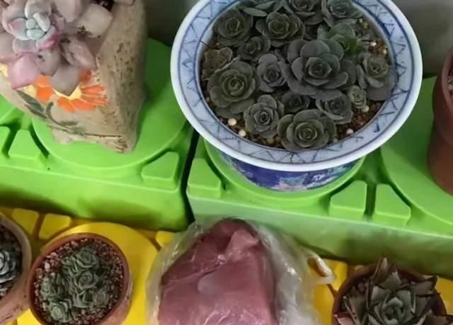 老师给学生买蛋糕,要求孩子带个勺,网友:后面那两位同学过分了休闲区蓝鸢梦想 - Www.slyday.coM 老师给学生买蛋糕,要求孩子带个勺,网友:后面那两位同学过分了休闲区蓝鸢梦想 - Www.slyday.coM