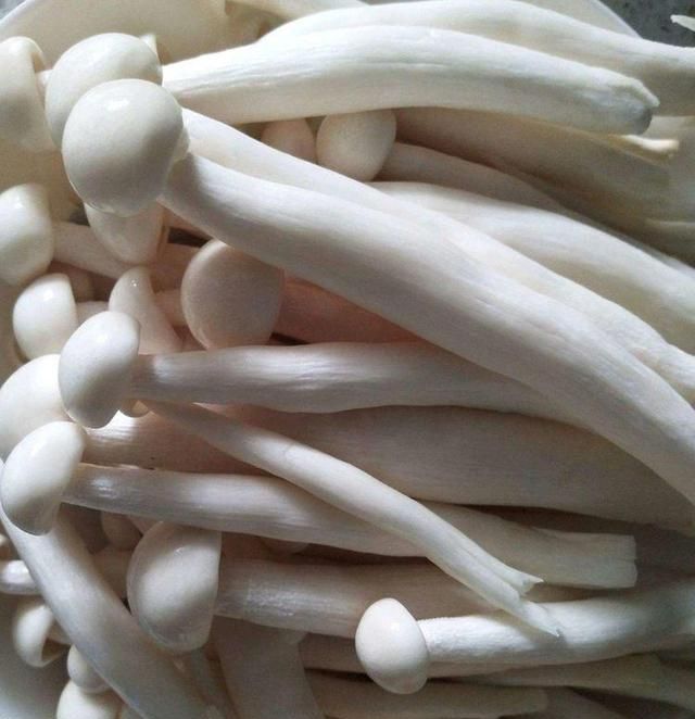 今天去早市,看见海鲜菇挺鲜灵的,于是就买了一些