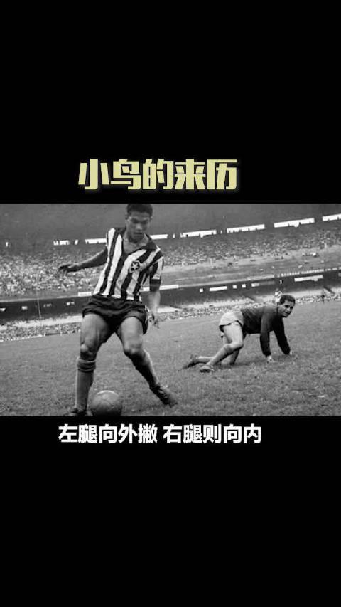 足球中小鸟的来历