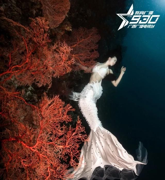 "美人鱼姐姐"现身广西书展现场 呼吁关爱海洋生态环境