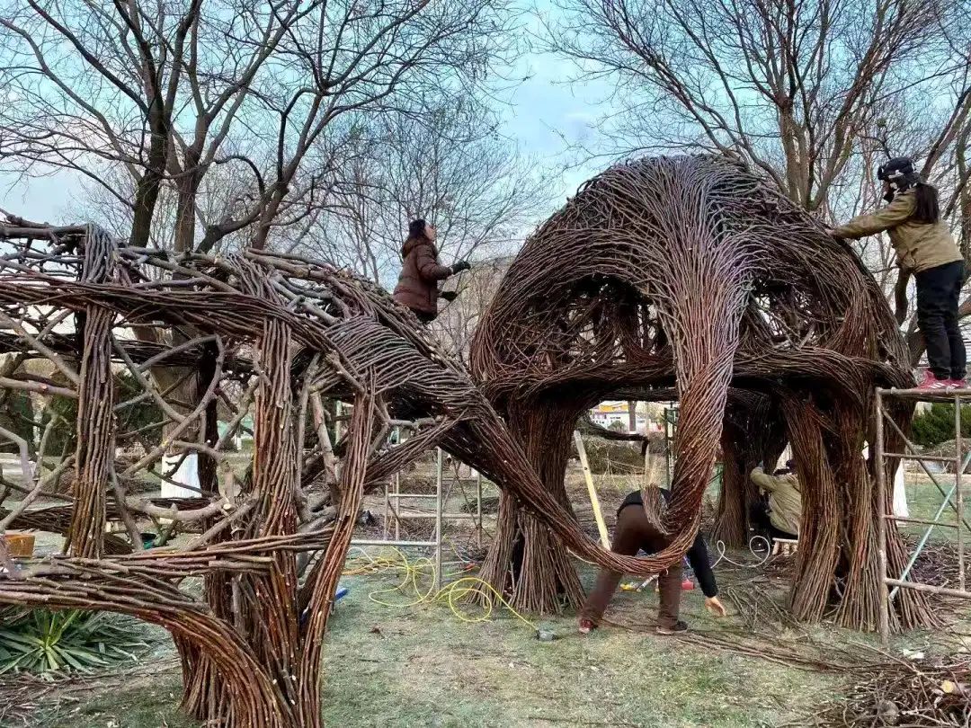 落叶、枯藤、树皮……北京这俩公园真会玩，来看看