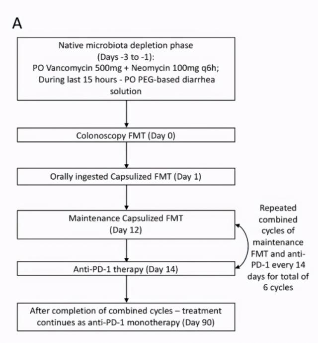 粪菌移植拯救PD1抑制剂难治癌症？联合免疫治疗休闲区蓝鸢梦想 - Www.slyday.coM