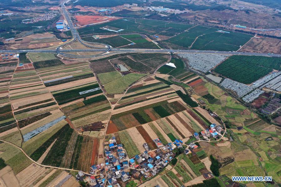 Aerial photo taken on Jan. 11, 2020 shows an orange and sugarcane plantation in Luzhai Town of Luzhai County, south China's Guangxi Zhuang Autonomous Region. In recent years, Luzhai County has strengthened the development of traditional industries, including crop farming, forestry and animal husbandry, in its poverty alleviation. It has found ways to help its every township build at least two modern agricultural demonstration zones, in a bid to consolidate poverty-relief achievements and help revitalize the countryside. According to county statistics, about 89% of its impoverished people have benefited from the development of industries and its 22 poverty-stricken villages have all shaken off poverty. (Xinhua/Huang Xiaobang)