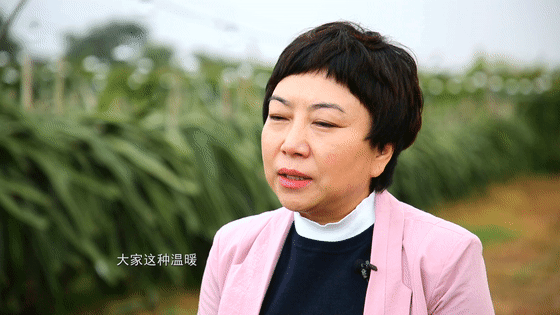 奋斗点亮幸福徐咏梅与乡村同发展