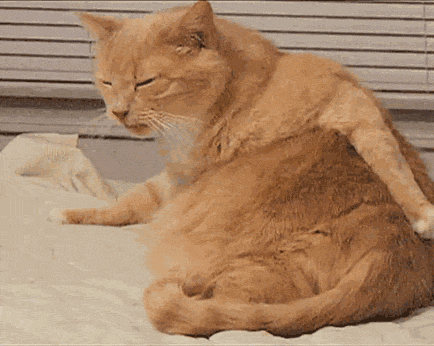 名医】湿疹是免疫功能的混乱,怎样让TA远离你?湿疹_新浪财经_新浪网