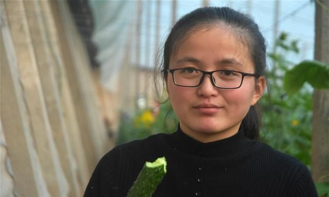 大棚内,孟凡喜正带着家人管理长势喜人的黄瓜,还有一位采摘黄瓜的女孩