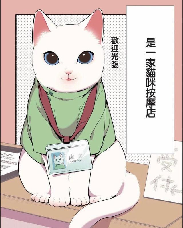 萌系治愈漫画 猫咪按摩店开张了 不来办张会员卡吧 猫咪 按摩店 店长 新浪新闻