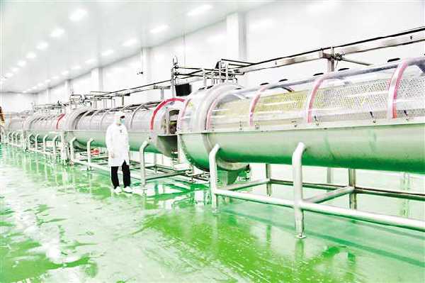 涪陵榨菜集团推进生产自动化智能化 做好一碟“国民下饭菜”