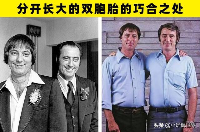 罕见的巧合:在世界不同地方出现的5个非常罕见的巧合|巧合|维奥莱特