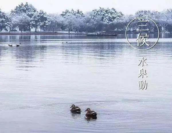 冬至亭前垂柳珍重待春风微言夜读经典