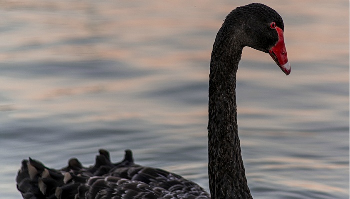 2020，影响未来十年格局的三个信号