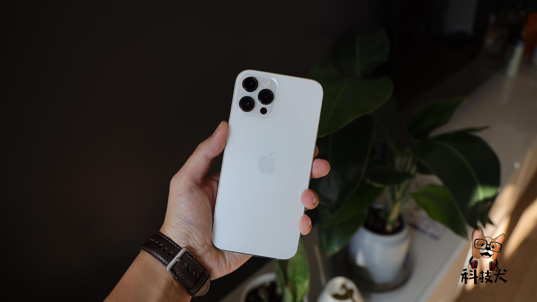 iphone 12 pro max开箱:年度最佳影像旗舰手机