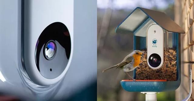 bird buddy旨在通过照片或音频识别鸟类的物种,将此连接到移动应用