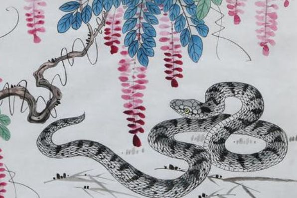 1965年生肖蛇的一生运势55岁后该何去何从一切皆是命