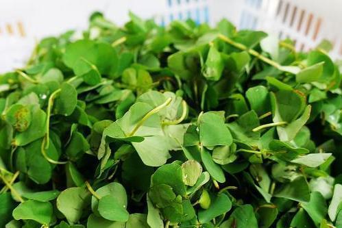 它们是痔疮的天然"克星",每天吃一点,消肿解毒,赶走痔疮