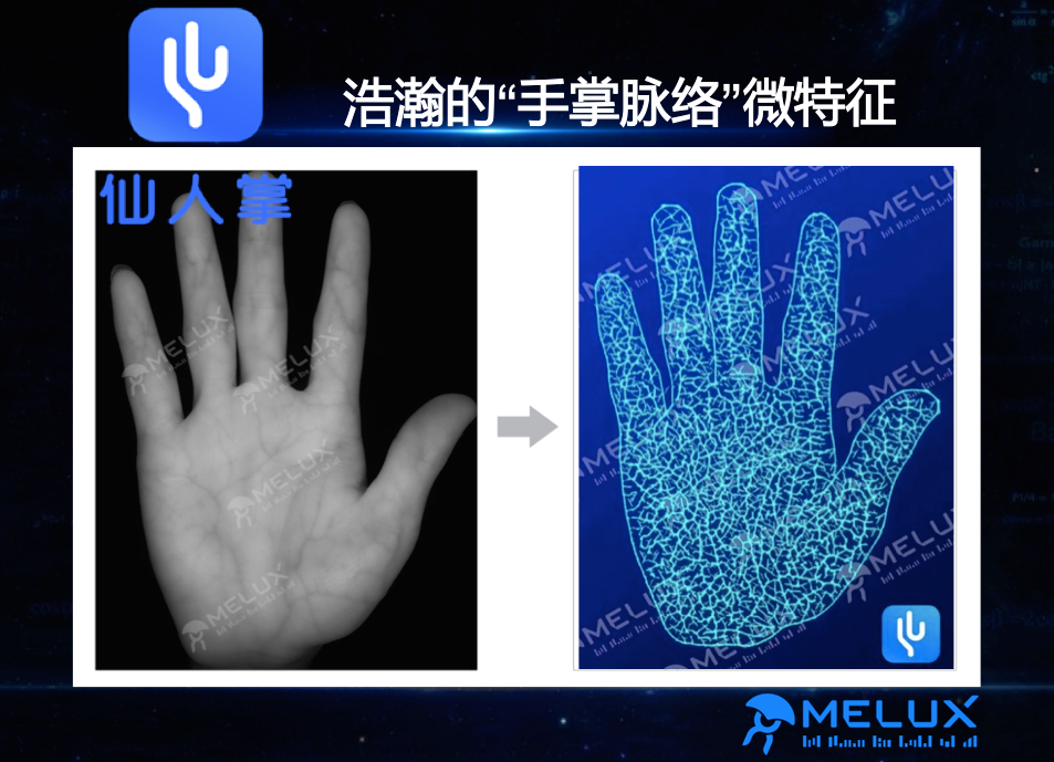 精确度更高的掌脉识别来了!|数据库|麦仑|静脉_新浪新闻