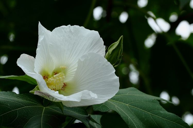 你若真心对他，他必回应给你，爱情中4大星座女值得被爱休闲区蓝鸢梦想 - Www.slyday.coM