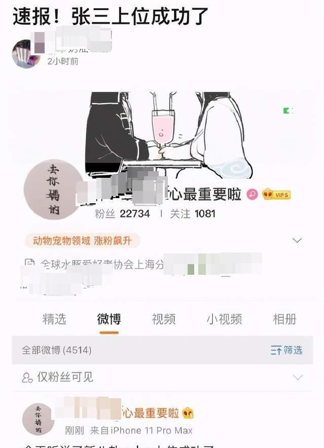 张大奕上位成功 总裁夫人董花花已两次暗示离婚 疑蒋凡先下车了 张大奕 蒋凡 离婚 新浪新闻