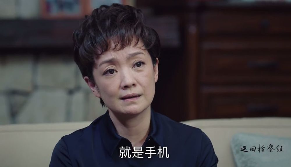 巡回检察组演员来头大有张嘉译老婆宋春丽侄子还有影后之子