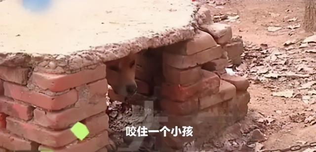 3岁男孩被邻居家狗咬身亡，孩子父亲：两家不足百米，狗常年不拴休闲区蓝鸢梦想 - Www.slyday.coM