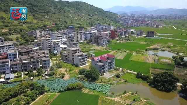 看福州这个小山村如何华丽变身……|新洋|美丽乡村|丹阳镇_新浪新闻