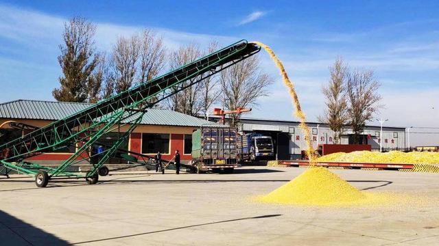 新闻 新闻 图片 视频 大地情书 | 第二封:一棒玉米 蹲点村庄 昌图县亮