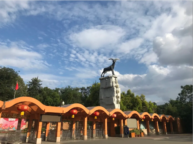 12月25日,成都动物园免票!