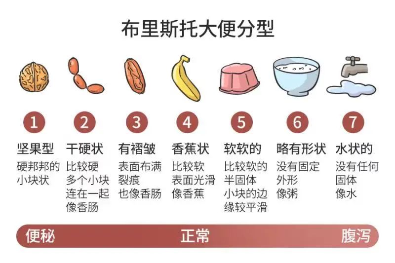 想排便通畅,记牢一个知识点|便秘|丁香_新浪新闻