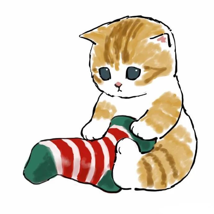 圣诞小猫咪萌晕我了都是乖巧宝宝真应景