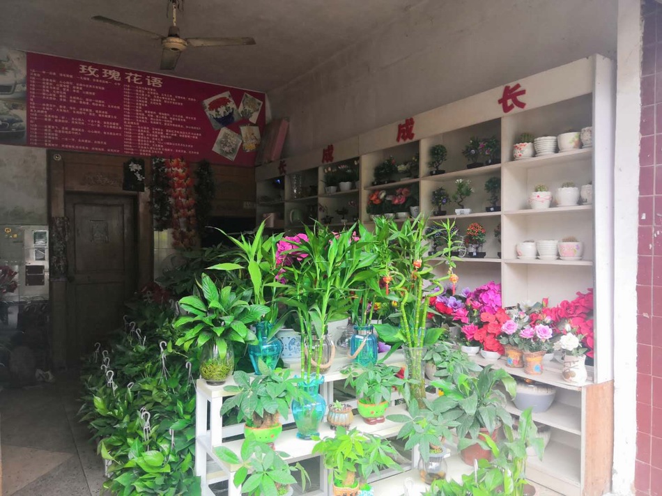唐慧的花店,三十几平方米。澎湃新闻记者明鹊 图