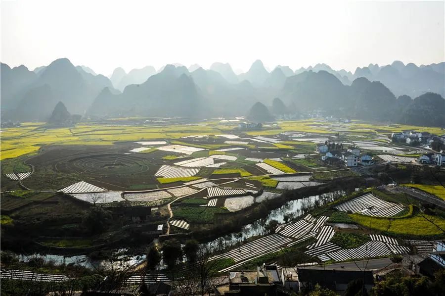 关注丨贵州息烽：优化营商环境让“新乡贤”回家