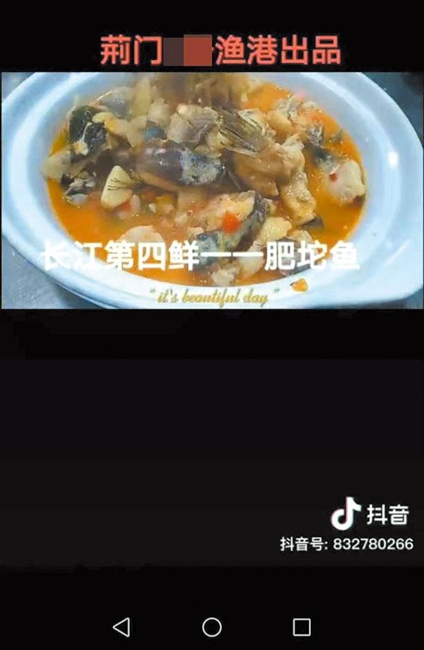 违规宣传经营长江肥坨鱼和洈水鱼两抖音账号打起擦边球