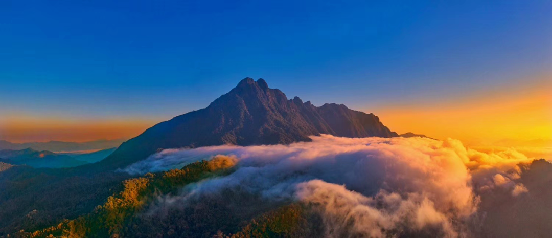 五指山的海南十大第一旅游资源名片知多少?