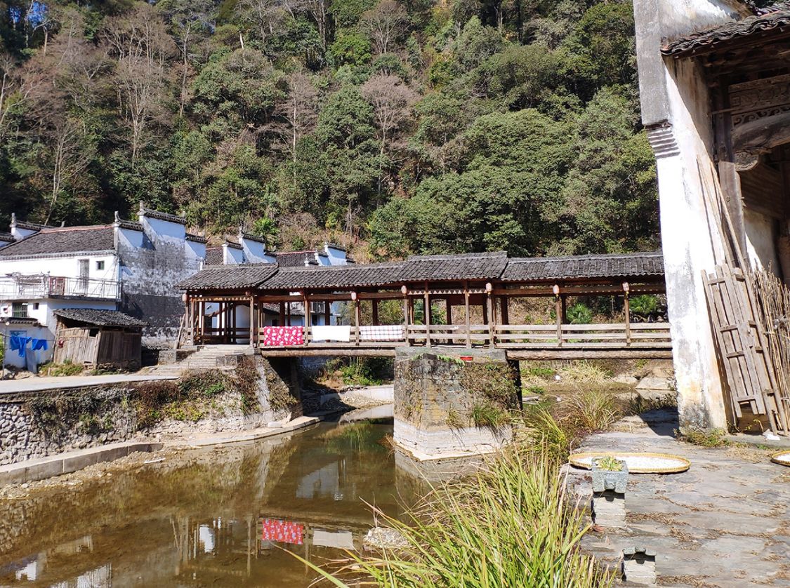 婺源菊径圆村,不收门票,看一眼全景却较贵