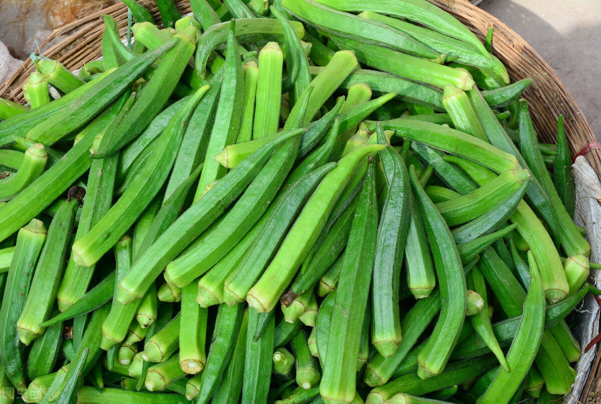 被两届运动会带火的蔬菜,秋葵是如何一步步,走上平常百姓的餐桌