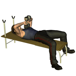 在家健身无压力,27个哑铃训练动图与详解,虐爆全身练出好身材