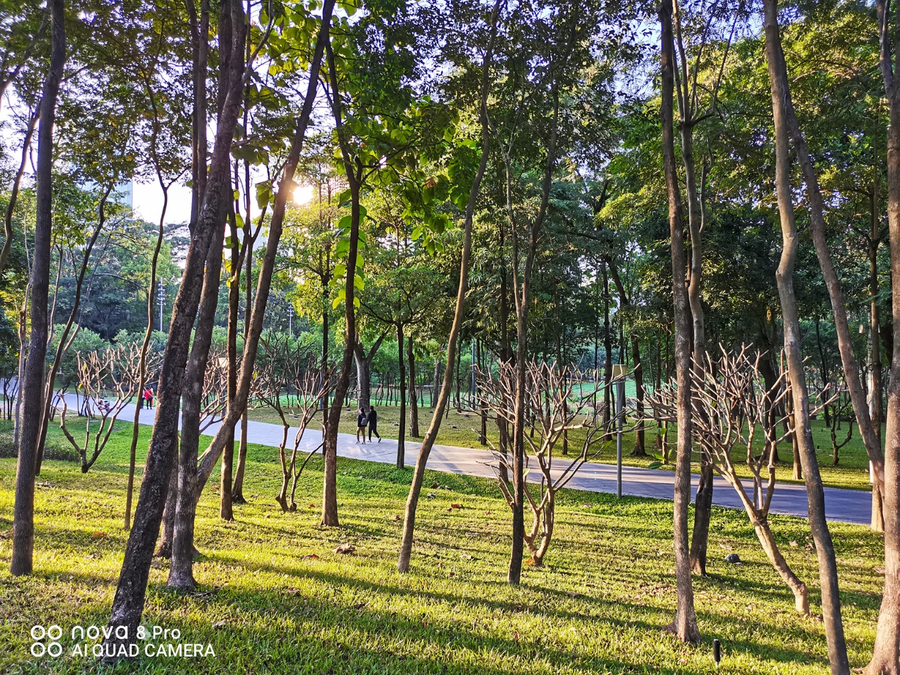 拍vlog作品,手机足矣,华为nova8 pro上手体验!