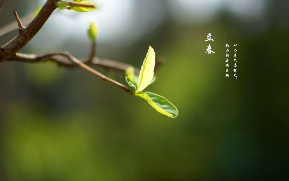 明年是辛丑年,农村老人说2021年是个"黑年",说的啥意思呢?