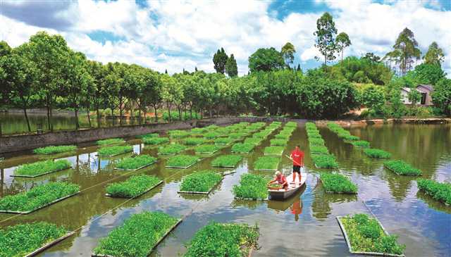 龙水镇gdp2020_重庆市大足区龙水镇新地标落成,剪刀,菜刀撑起一个镇的经济