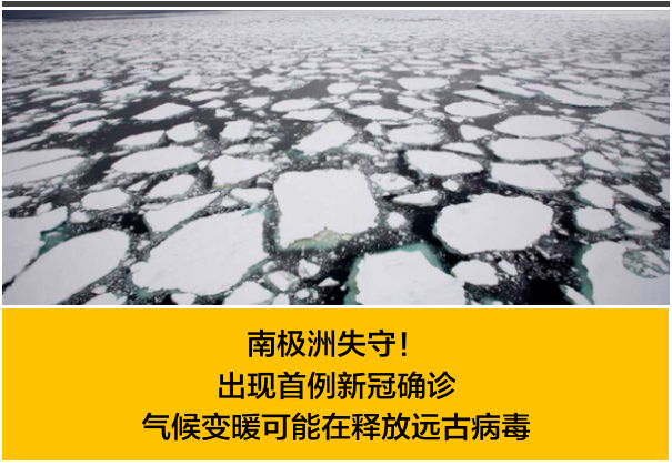 南极洲现首例新冠确诊全球七大陆沦陷人类还要自食恶果多久