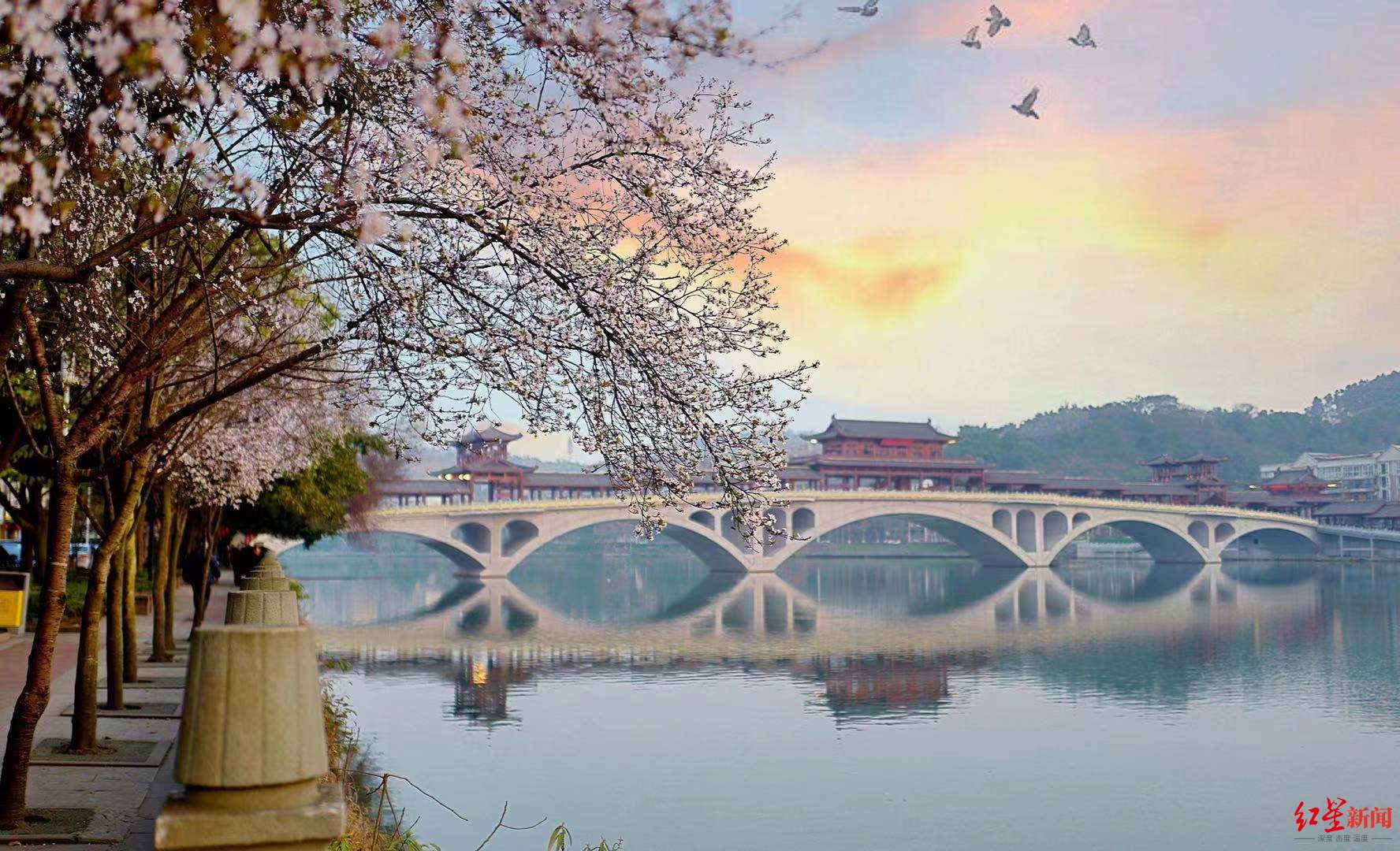 点赞新津!这个区域的发展充满魅力和活力!