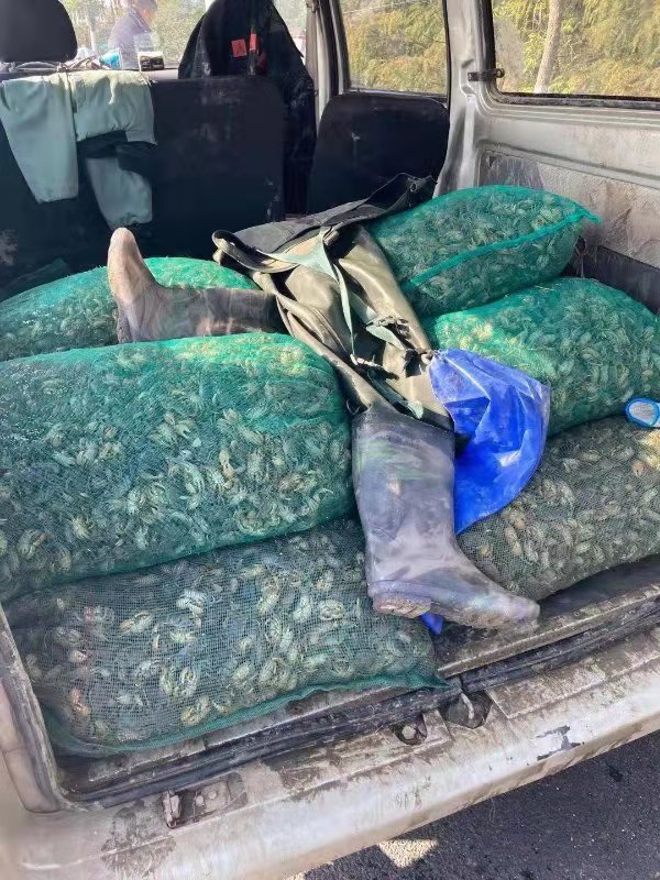 图片来源：上海警方