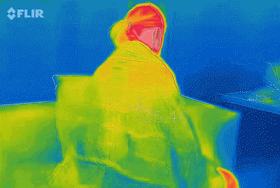 再来瞧瞧披着发热毯10分钟前后的人体热感对比图:可以