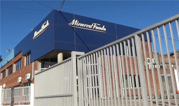 协商取得成果乌拉圭肉企minerva旗下8厂计划于明年2月恢复生产