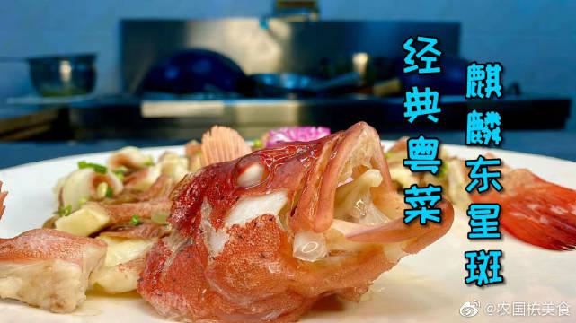 再现粤式经典麒麟东星斑,味型咸鲜香,学会了年夜饭的菜谱又 1