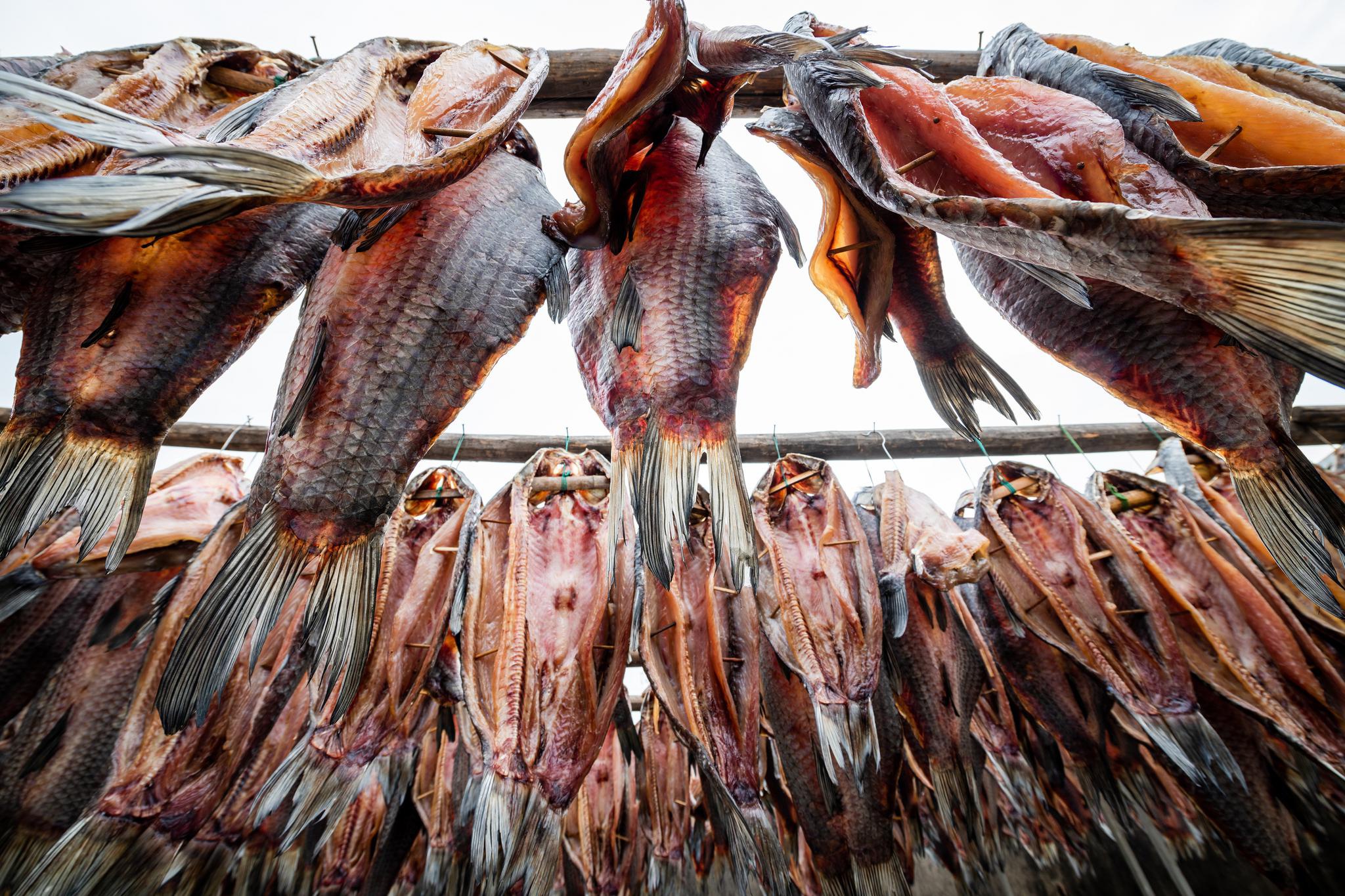 鱼干飘香助增收