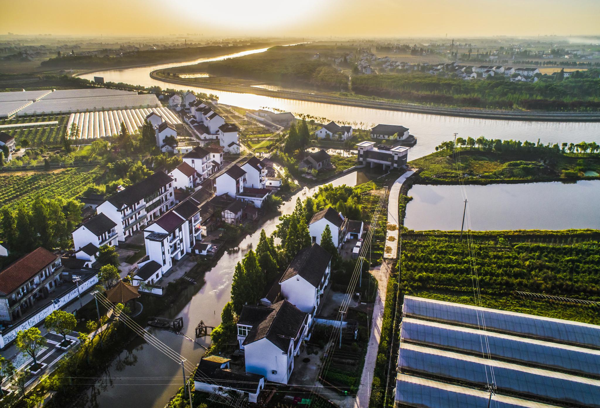 文明亦风景!浙报点赞平湖新埭镇清廉之风润乡土|平湖_新浪新闻