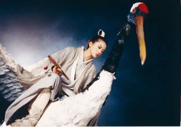 在《新仙鹤神针》里,她饰演的白云飞是前朝公主,自幼由师傅抚养长大