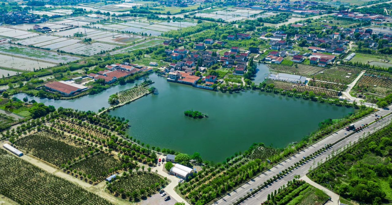 产业融合以点串珠 双林这个村让"美丽风景"孕育"美丽经济"